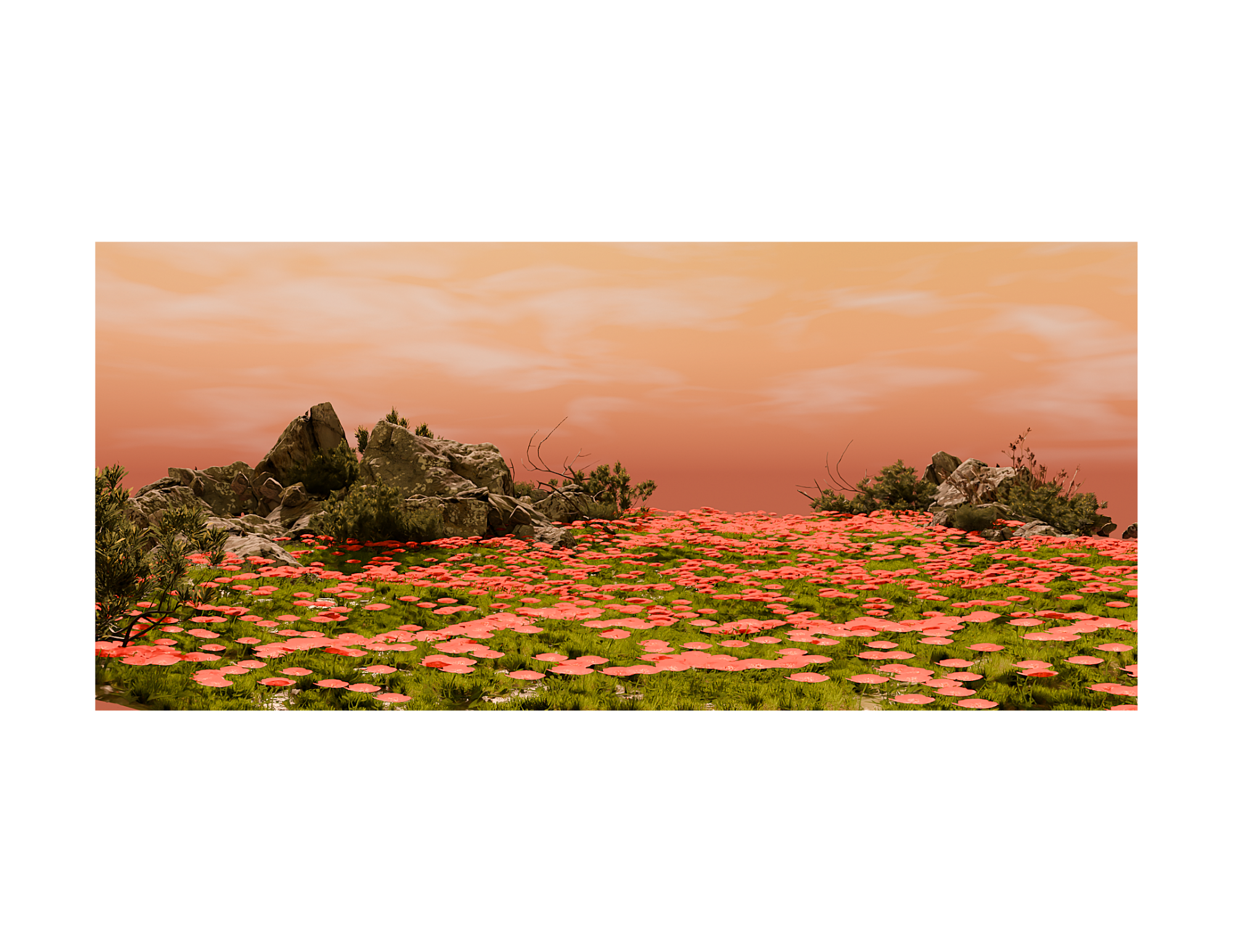 Field of Flowers
